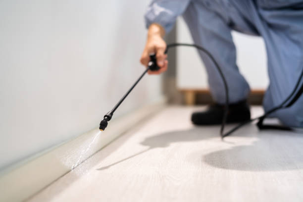 Licensed Pest Control service in Enterprise, WV - Show Me Pest Control